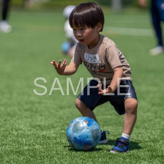 SRK20260526013