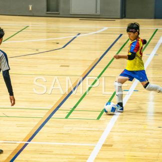 SRK20260523035