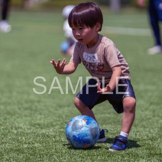 SRK20260808010